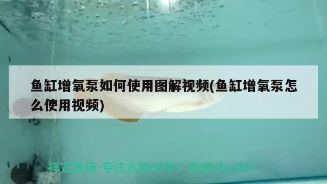 鱼缸增氧泵如何使用图解视频(鱼缸增氧泵怎么使用视频)