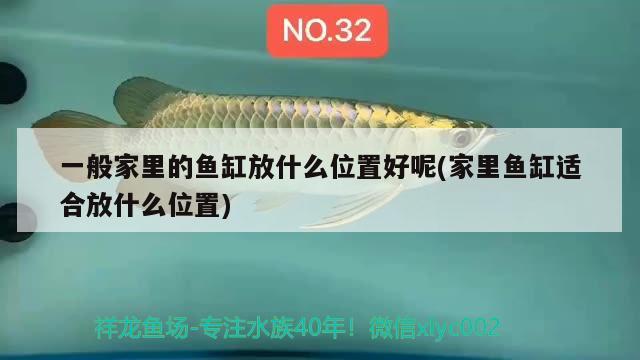 一般家里的鱼缸放什么位置好呢(家里鱼缸适合放什么位置) 观赏鱼市场（混养鱼） 第2张