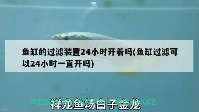 鱼缸的过滤装置24小时开着吗(鱼缸过滤可以24小时一直开吗)