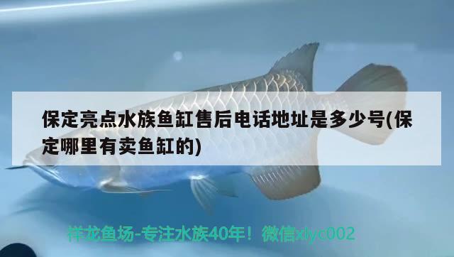 保定亮点水族鱼缸售后电话地址是多少号(保定哪里有卖鱼缸的) 肥料