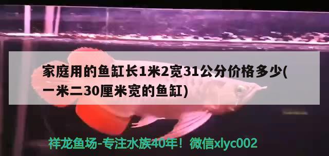 家庭用的鱼缸长1米2宽31公分价格多少(一米二30厘米宽的鱼缸) 朱巴利鱼 第2张