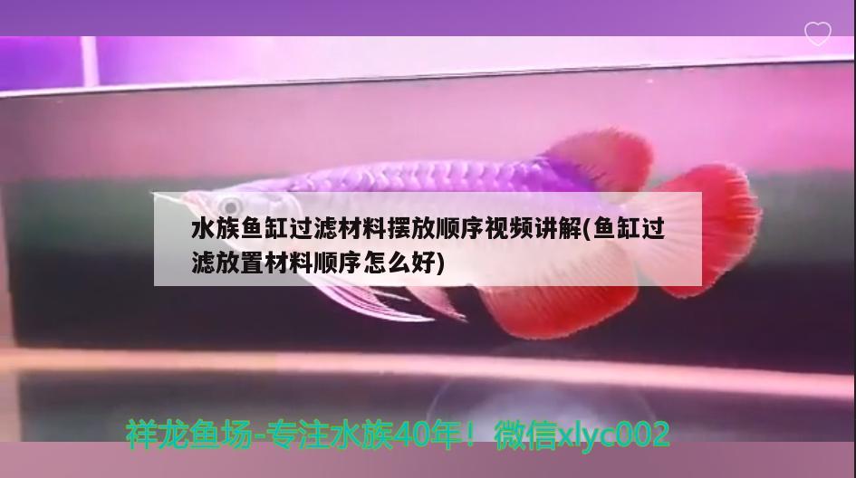 水族鱼缸过滤材料摆放顺序视频讲解(鱼缸过滤放置材料顺序怎么好) 刀鱼鱼