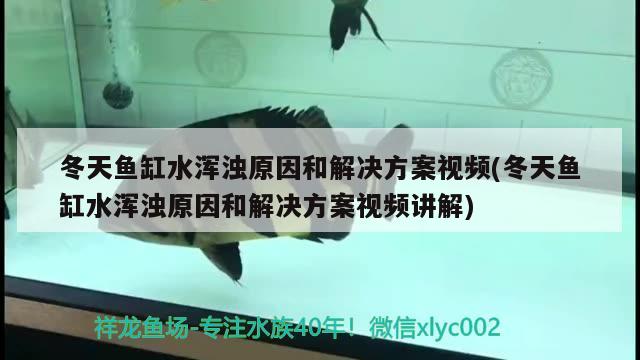 冬天鱼缸水浑浊原因和解决方案视频(冬天鱼缸水浑浊原因和解决方案视频讲解) 潜水泵