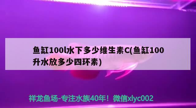 鱼缸100l水下多少维生素C(鱼缸100升水放多少四环素) 成吉思汗鲨（球鲨）鱼