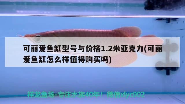 可丽爱鱼缸型号与价格1.2米亚克力(可丽爱鱼缸怎么样值得购买吗)