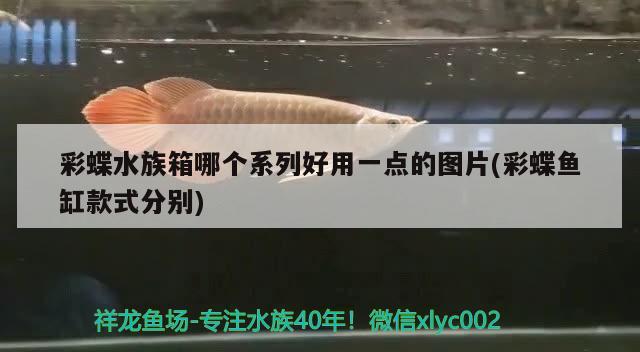 彩蝶水族箱哪个系列好用一点的图片(彩蝶鱼缸款式分别) 鱼缸/水族箱