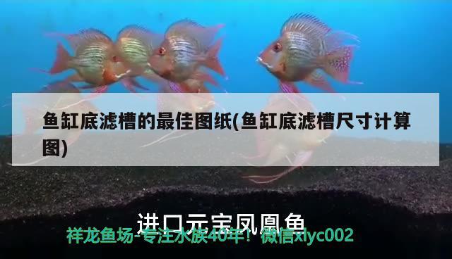 鱼缸底滤槽的最佳图纸(鱼缸底滤槽尺寸计算图) 观赏鱼企业目录 第1张