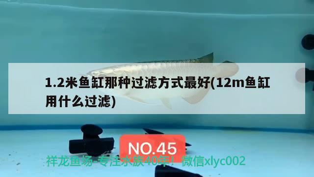 1.2米鱼缸那种过滤方式最好(12m鱼缸用什么过滤)