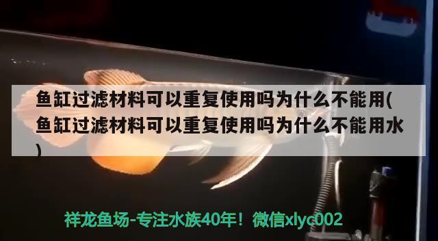 鱼缸过滤材料可以重复使用吗为什么不能用(鱼缸过滤材料可以重复使用吗为什么不能用水)