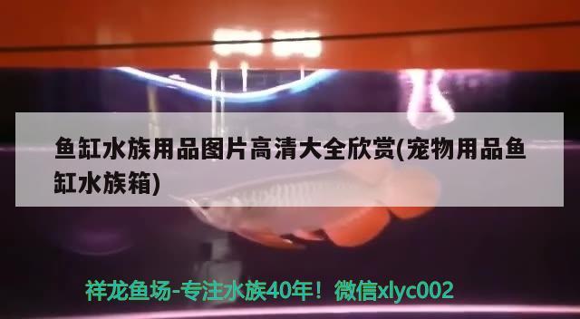 鱼缸水族用品图片高清大全欣赏(宠物用品鱼缸水族箱) 水族用品