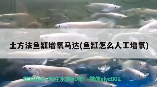 土方法鱼缸增氧马达(鱼缸怎么人工增氧) 一眉道人鱼