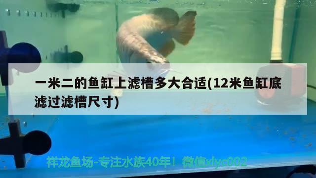 一米二的鱼缸上滤槽多大合适(12米鱼缸底滤过滤槽尺寸) 广州水族批发市场