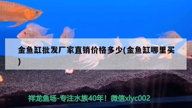 金鱼缸批发厂家直销价格多少(金鱼缸哪里买)