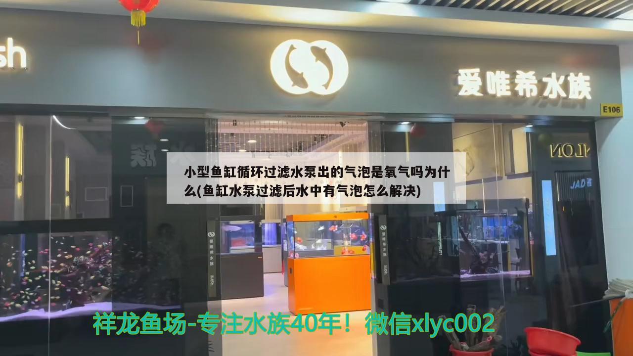 小型鱼缸循环过滤水泵出的气泡是氧气吗为什么(鱼缸水泵过滤后水中有气泡怎么解决)