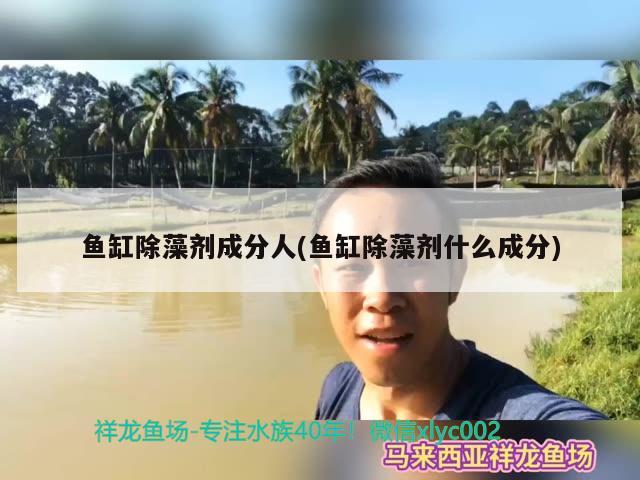 鱼缸除藻剂成分人(鱼缸除藻剂什么成分) 申古银版鱼