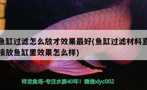 鱼缸过滤怎么放才效果最好(鱼缸过滤材料直接放鱼缸里效果怎么样) 赛级红龙鱼