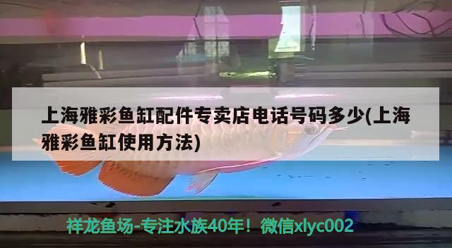 上海雅彩鱼缸配件专卖店电话号码多少(上海雅彩鱼缸使用方法)