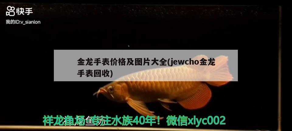 金龙手表价格及图片大全(jewcho金龙手表回收)