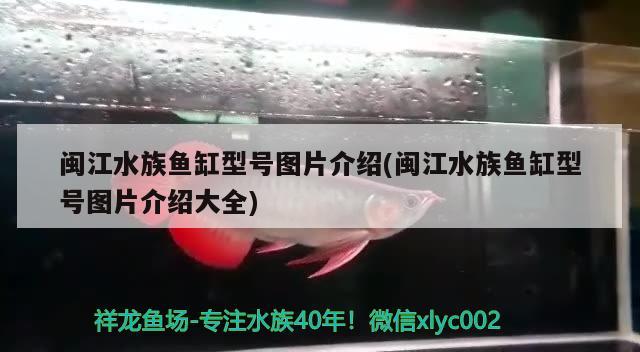 闽江水族鱼缸型号图片介绍(闽江水族鱼缸型号图片介绍大全) 水族维护服务（上门）