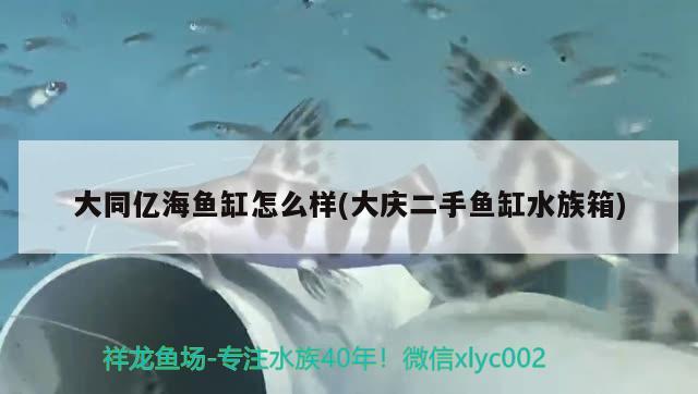 大同亿海鱼缸怎么样(大庆二手鱼缸水族箱) 鱼缸/水族箱