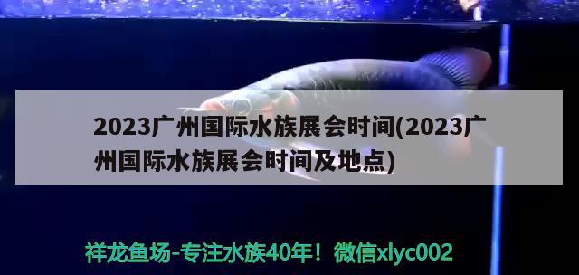 2023广州国际水族展会时间(2023广州国际水族展会时间及地点)