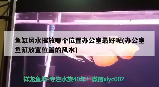 鱼缸风水摆放哪个位置办公室最好呢(办公室鱼缸放置位置的风水)