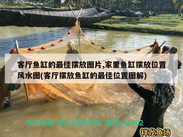 客厅鱼缸的最佳摆放图片,家里鱼缸摆放位置风水图(客厅摆放鱼缸的最佳位置图解) 鱼缸风水