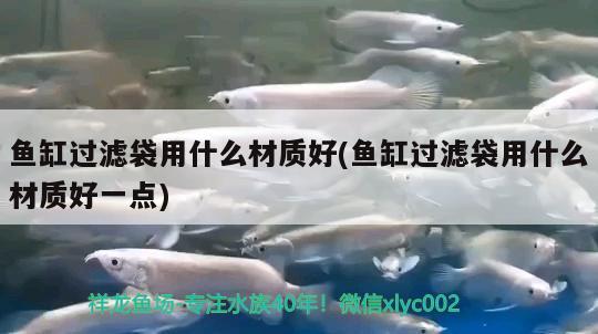 鱼缸过滤袋用什么材质好(鱼缸过滤袋用什么材质好一点) B级过背金龙鱼