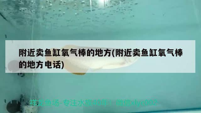 附近卖鱼缸氧气棒的地方(附近卖鱼缸氧气棒的地方电话) 赛级红龙鱼