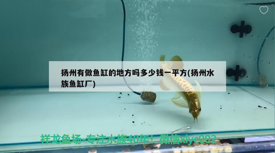 扬州有做鱼缸的地方吗多少钱一平方(扬州水族鱼缸厂)