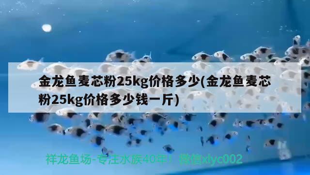 金龙鱼麦芯粉25kg价格多少(金龙鱼麦芯粉25kg价格多少钱一斤) 白化火箭鱼