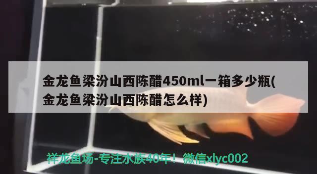 金龙鱼梁汾山西陈醋450ml一箱多少瓶(金龙鱼梁汾山西陈醋怎么样) 帝王血钻