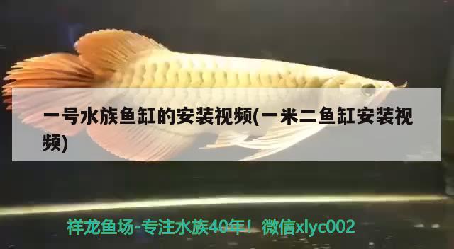 一号水族鱼缸的安装视频(一米二鱼缸安装视频)