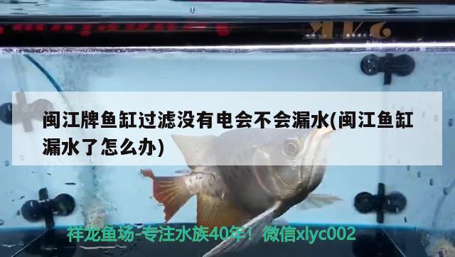 闽鱼缸过滤没有电会不会漏水(闽江鱼缸漏水了怎么办) 丹顶锦鲤鱼