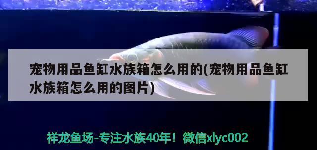 宠物用品鱼缸水族箱怎么用的(宠物用品鱼缸水族箱怎么用的图片)