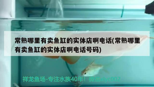 常熟哪里有卖鱼缸的实体店啊电话(常熟哪里有卖鱼缸的实体店啊电话号码)