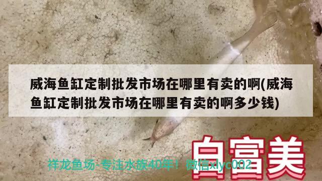 威海鱼缸定制批发市场在哪里有卖的啊(威海鱼缸定制批发市场在哪里有卖的啊多少钱) 印尼虎苗