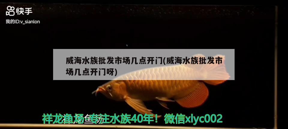 威海水族批发市场几点开门(威海水族批发市场几点开门呀) 观赏鱼水族批发市场