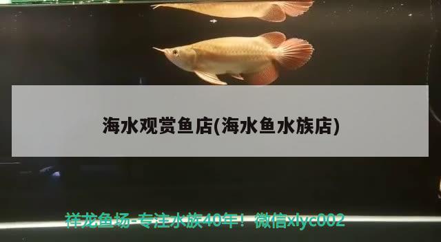 海水观赏鱼店(海水鱼水族店) 海水鱼