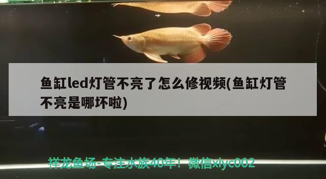 鱼缸led灯管不亮了怎么修视频(鱼缸灯管不亮是哪坏啦)