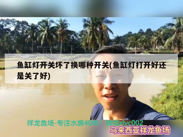 鱼缸灯开关坏了换哪种开关(鱼缸灯打开好还是关了好) 龙鱼批发