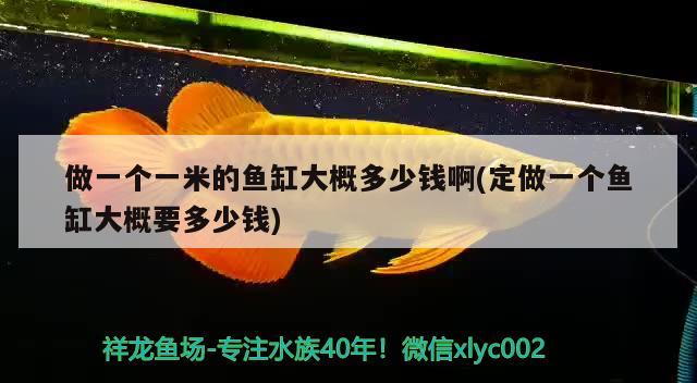 做一个一米的鱼缸大概多少钱啊(定做一个鱼缸大概要多少钱) 水族用品