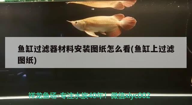 鱼缸过滤器材料安装图纸怎么看(鱼缸上过滤图纸) 成吉思汗鲨（球鲨）鱼