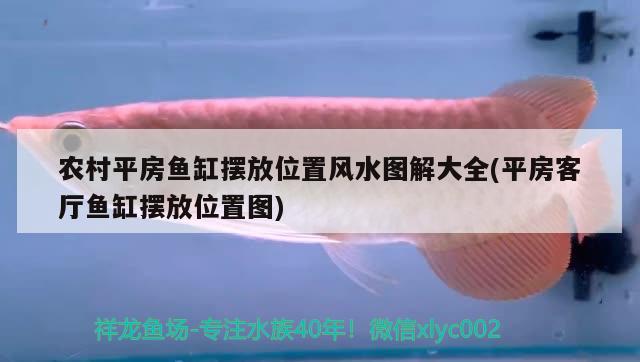 农村平房鱼缸摆放位置风水图解大全(平房客厅鱼缸摆放位置图) 鱼缸风水