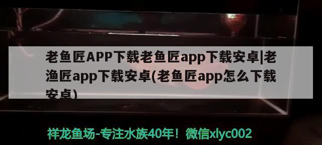 老鱼匠APP下载老鱼匠app下载安卓|老渔匠app下载安卓(老鱼匠app怎么下载安卓)