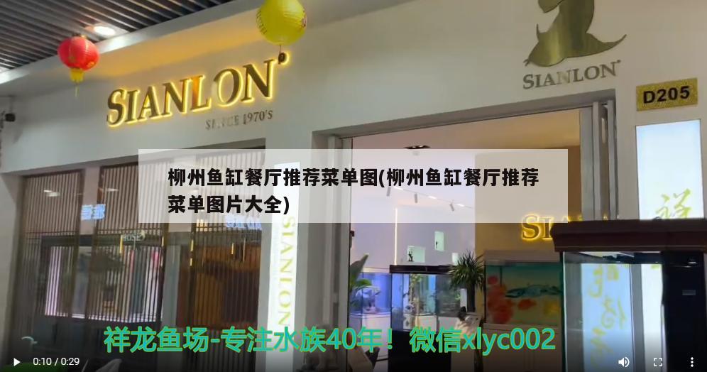 柳州鱼缸餐厅推荐菜单图(柳州鱼缸餐厅推荐菜单图片大全) 一眉道人鱼苗