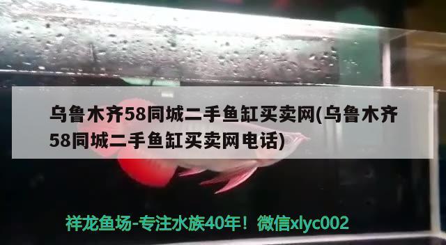 乌鲁木齐58同城二手鱼缸买卖网(乌鲁木齐58同城二手鱼缸买卖网电话) 印尼四纹虎