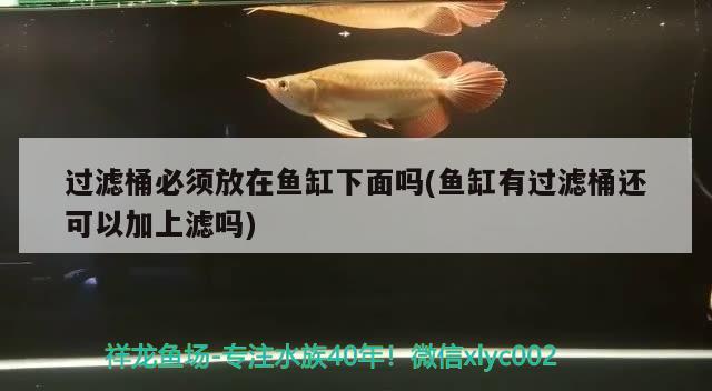 过滤桶必须放在鱼缸下面吗(鱼缸有过滤桶还可以加上滤吗) 黄鳍鲳鱼