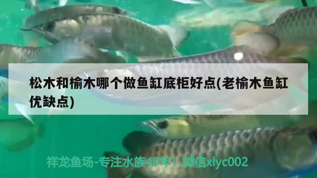 松木和榆木哪个做鱼缸底柜好点(老榆木鱼缸优缺点) 虎鱼百科