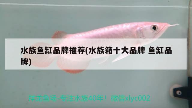 水族鱼缸品牌推荐(水族箱十大品牌鱼缸品牌) 鱼缸/水族箱